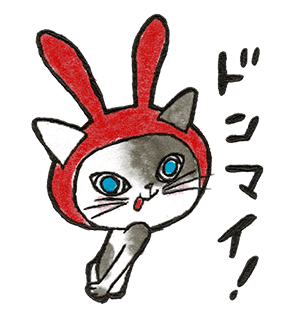 前澤ファンドに応募しました 4 うちこ