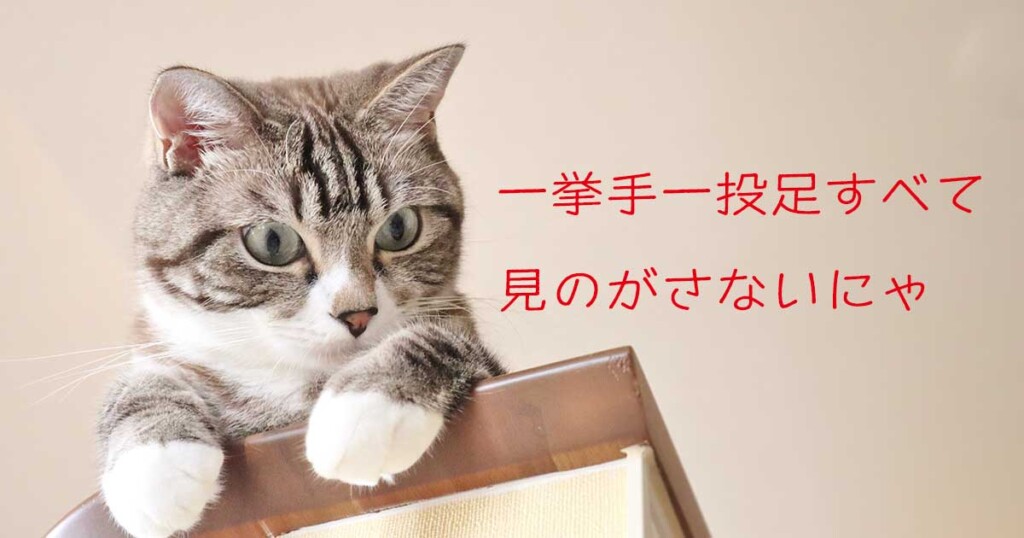 コラム 43 全部見逃さない
